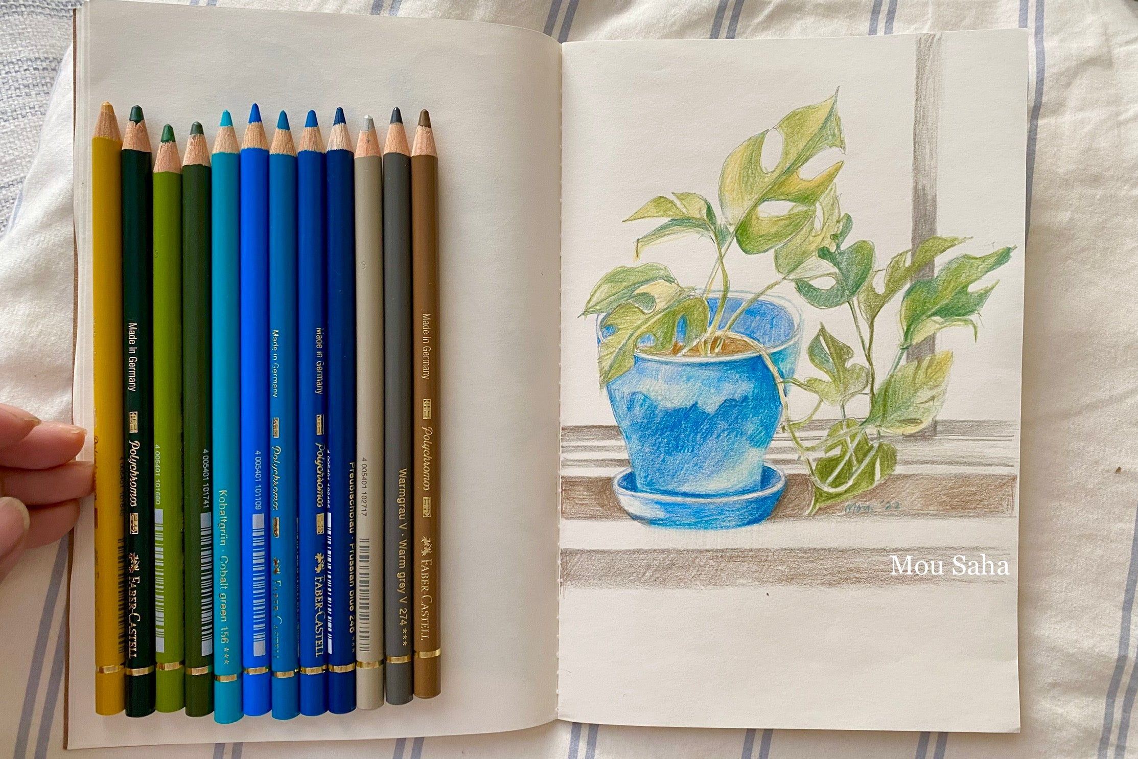 Monstera Plant Sketching Tutorial with Polychromos Color Pencils