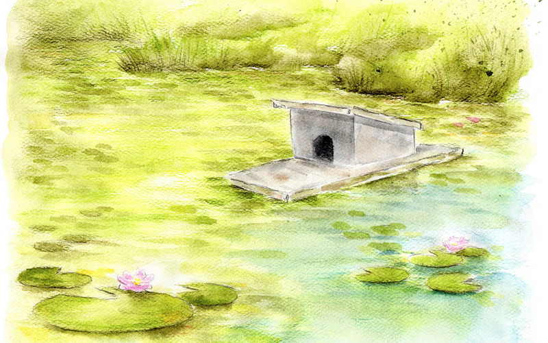 Sketch for coloring of duck swimming in a pond