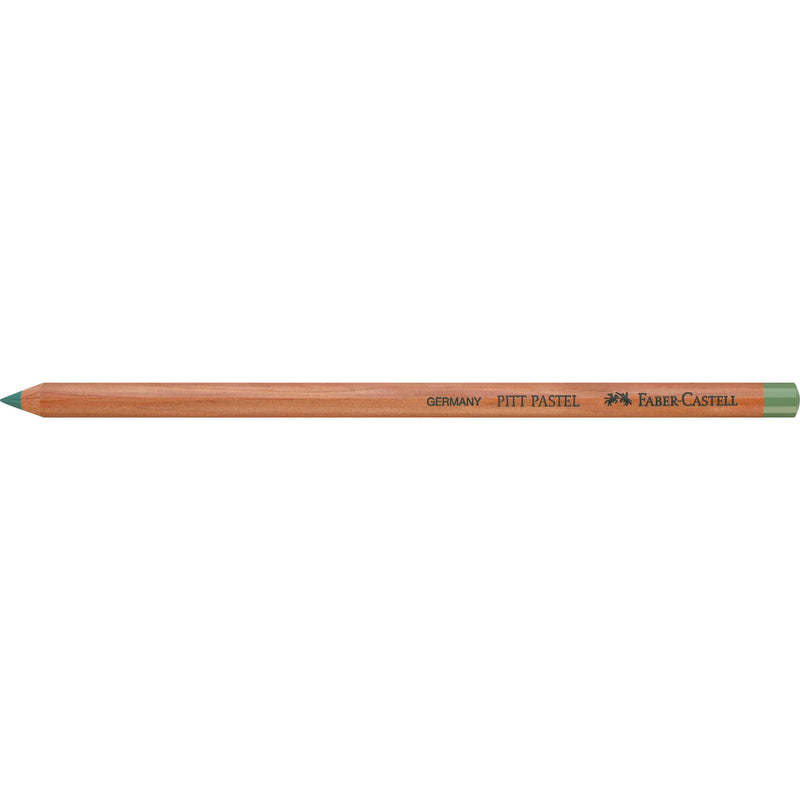 Faber-Castell Polychromos Artist Colored Pencil - Earth Green 172